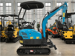 _asv 25 skid steer Factory